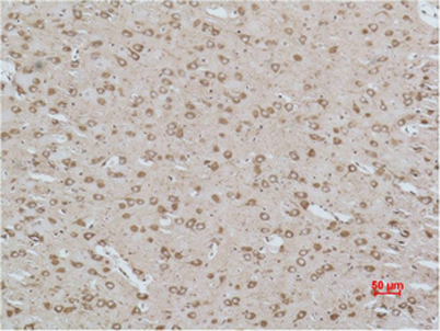 意大利贵宾会-贵宾会官方网站入口