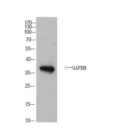 意大利贵宾会-贵宾会官方网站入口