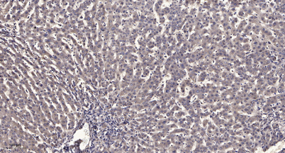 意大利贵宾会-贵宾会官方网站入口