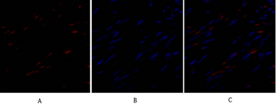 意大利贵宾会-贵宾会官方网站入口