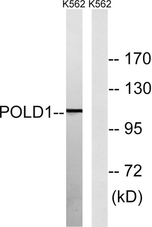 意大利贵宾会-贵宾会官方网站入口