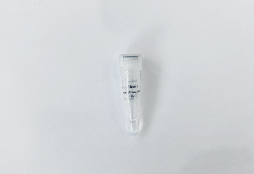 意大利贵宾会-贵宾会官方网站入口